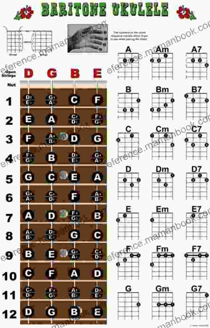 Common Ukulele Chords, Including C, G, Am, F, And Dm, Displayed On A Fretboard HOW TO PLAY UKULELE: Step By Step Guide On How To Play Ukulele For Beginners