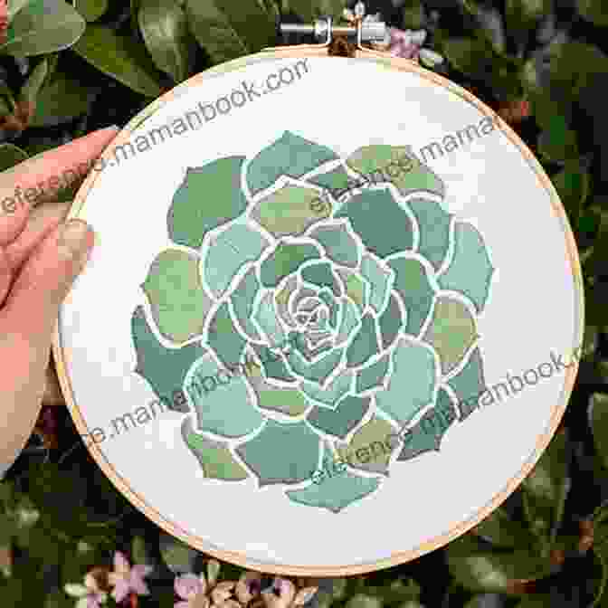 Crassula Succulent Embroidery Pattern Botanical Line Drawing: 200 Step By Step Flowers Leaves Cacti Succulents And Other Items Found In Nature