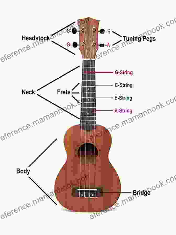 Diagram Of Ukulele Parts, Including Headstock, Tuning Pegs, Nut, Fretboard, Frets, Soundhole, Bridge, And Strings HOW TO PLAY UKULELE: Step By Step Guide On How To Play Ukulele For Beginners