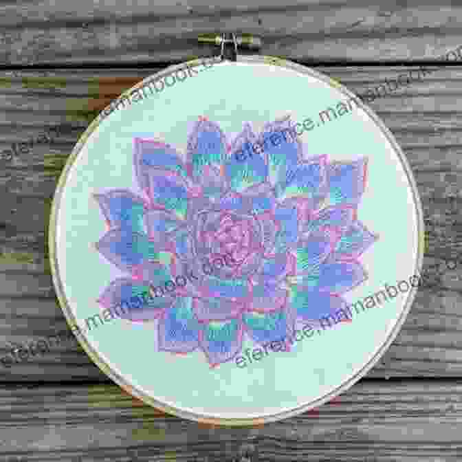 Echeveria Succulent Embroidery Pattern Botanical Line Drawing: 200 Step By Step Flowers Leaves Cacti Succulents And Other Items Found In Nature