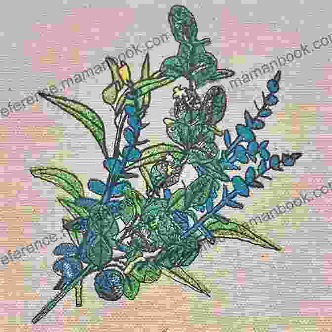 Eucalyptus Leaf Embroidery Pattern Botanical Line Drawing: 200 Step By Step Flowers Leaves Cacti Succulents And Other Items Found In Nature