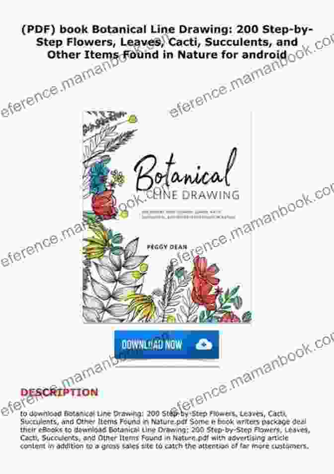 Feather Embroidery Pattern Botanical Line Drawing: 200 Step By Step Flowers Leaves Cacti Succulents And Other Items Found In Nature