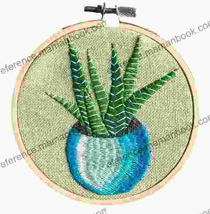 Haworthia Cactus Embroidery Pattern Botanical Line Drawing: 200 Step By Step Flowers Leaves Cacti Succulents And Other Items Found In Nature