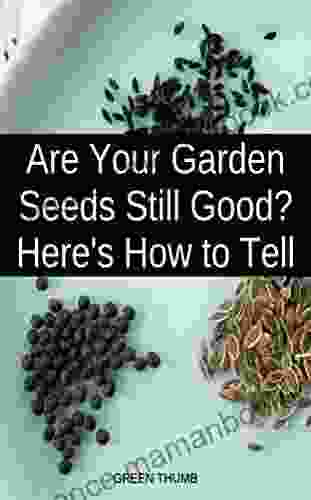 Are Your Garden Seeds Still Good? (Gardening Homestead 8)