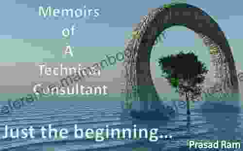 Just The Beginning (Memoirs Of A Technical Consultant 1)